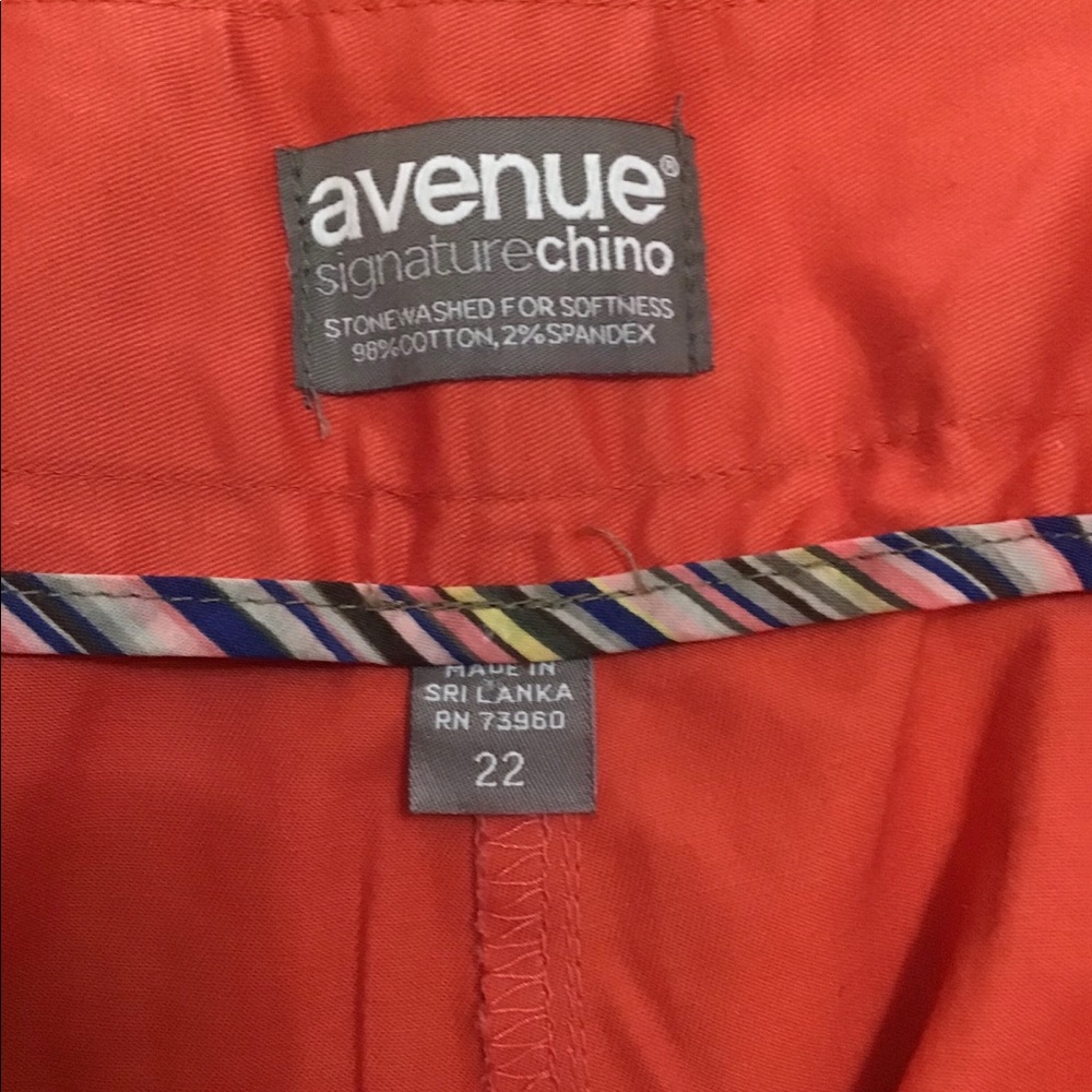 Salmon Avenue Chino Shorts - Picture 3 of 4